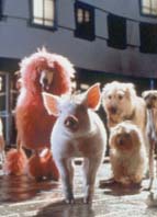 BABE : PIG IN THE CITY