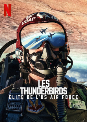 Les Thunderbirds : Élite De L Us Air Force