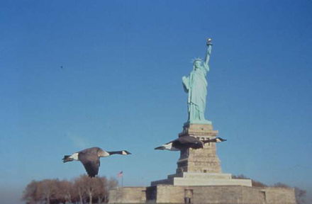 771