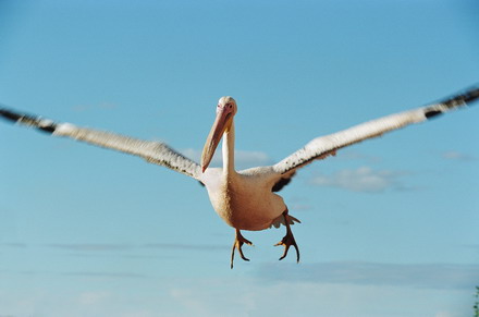 3594