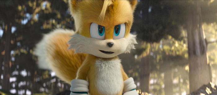 11729